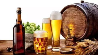啤酒的多元魅力 不止于解渴，探尋其獨(dú)特風(fēng)味與妙用