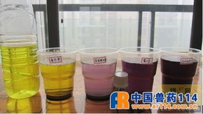 烈酒甜味背后 如何科學(xué)判斷脫霉劑處理霉菌毒素的能力？